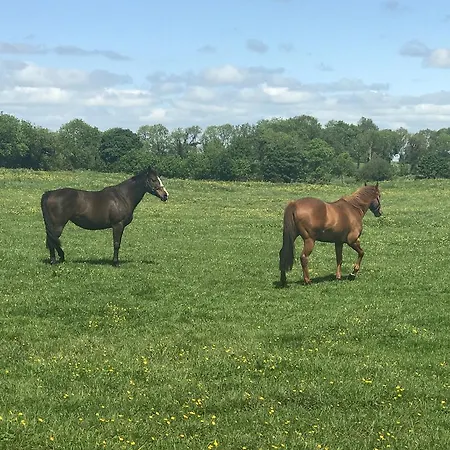 カントリーハウス Hideaway At Foxhollow
